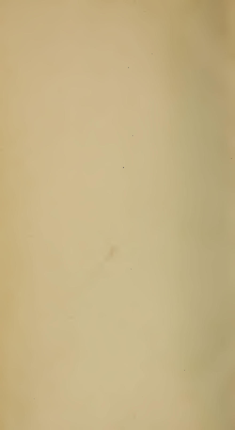 Image of page -3